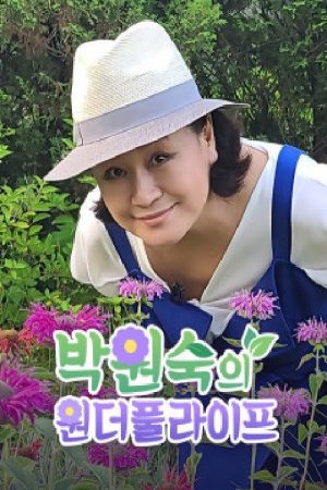 박원숙 원더풀라이프 (2020) poster