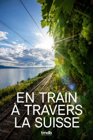 En train à travers la Suisse (2021) poster