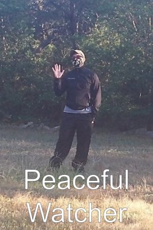 Peaceful Watcher (2020) poster