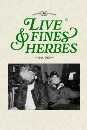 High & Fines Herbes (2017) poster