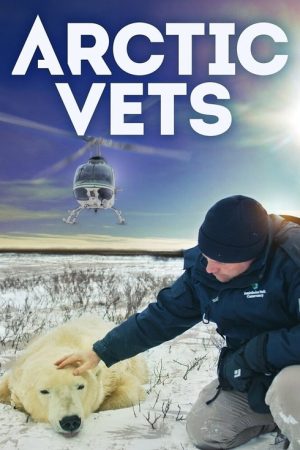 Arctic Vets (2021) poster