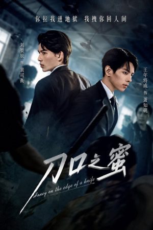 Honey on the Edge of a Knife (2025) poster