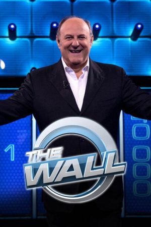 The Wall (IT) (2017) poster