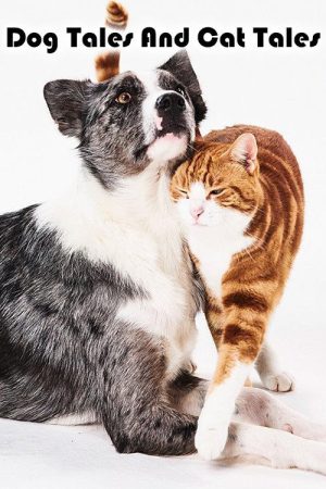 Dog Tales And Cat Tales (2020) poster