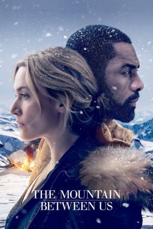 The Mountain Between Us (2017) poster