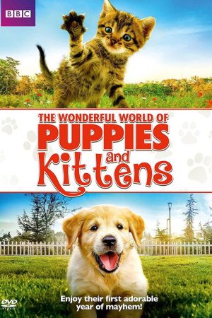 The Wonderful World of Puppies and Kittens (2016) poster
