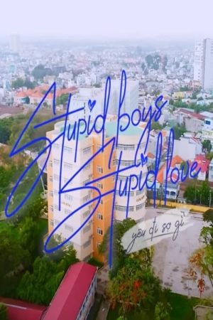 Stupid Boys Stupid Love (2021) poster