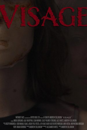 Visage (2026) poster