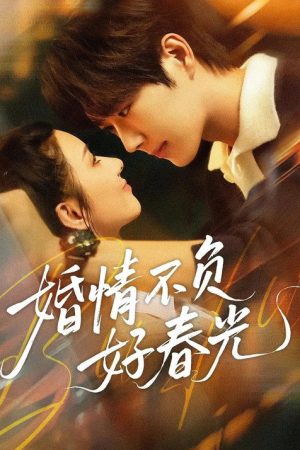 婚情不负好春光 (2025) poster