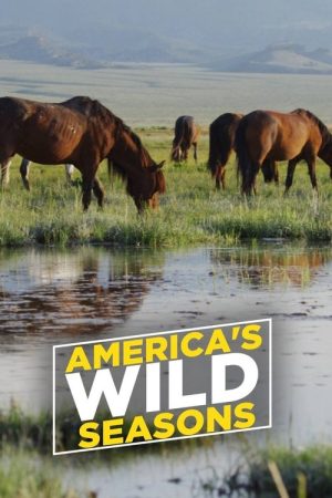 America’s Wild Seasons (2019) poster