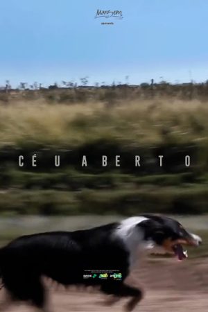 Céu Aberto (2022) poster