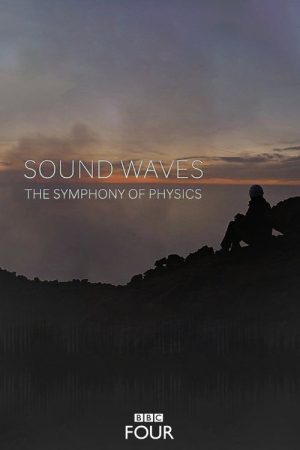 Sound Waves: The Symphony of Physics (2017) poster