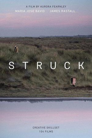 Struck (2017) poster