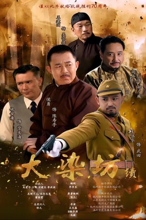 大染坊续 (2016) poster