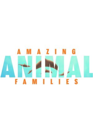 Amazing Animal Families (2019) poster