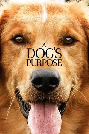 A Dog’s Purpose (2017) poster