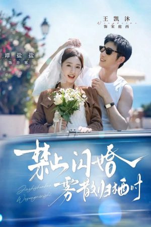 禁止闪婚，雾散归栖时 (2026) poster