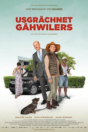 Meet The Gähwilers (2017) poster