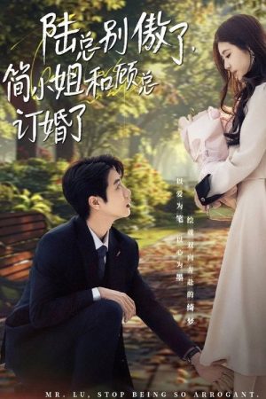 陆总别傲了，简小姐和顾总订婚了 (2025) poster