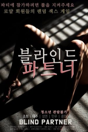 Blind Partner (2020) poster