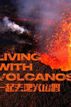Living with Volcanoes (2019) poster