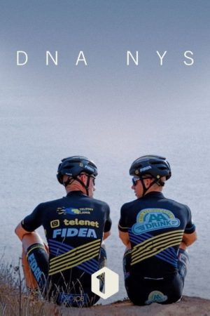 DNA Nys (2017) poster
