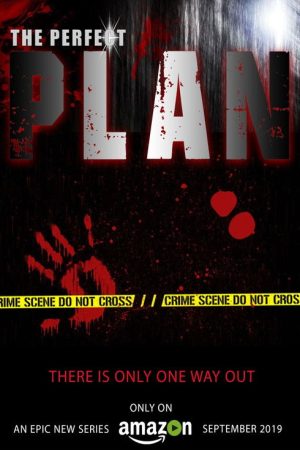 The Perfect Plan (2019) poster