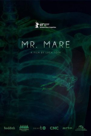 Mr. Mare (2019) poster