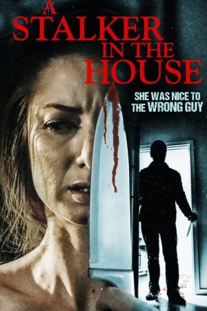 A Stalker in the House (2021) poster