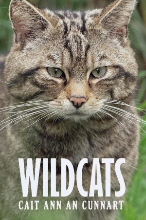 Wildcats: Cait ann an Cunnart (2025) poster