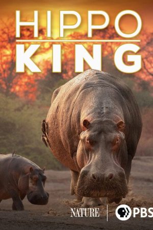 Hippo King (2022) poster