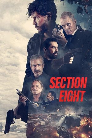 Section 8 (2022) poster