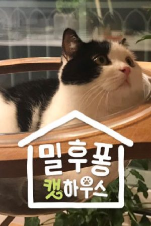 밀후퐁콘 캣하우스 (2020) poster
