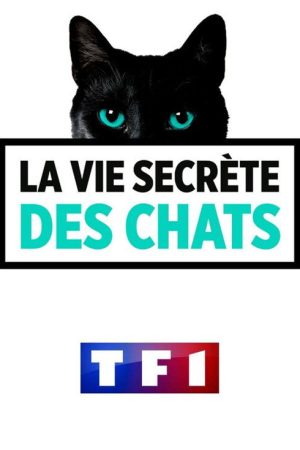 La Vie secrète des chats (2017) poster