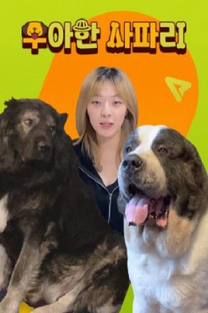 우아한 사파리 (2020) poster