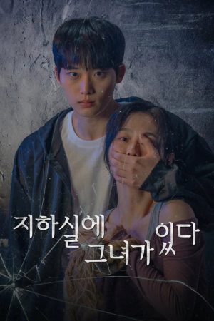 지하실에 그녀가 있다 (2025) poster
