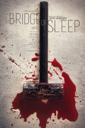 Bridge of Sleep (2018) poster