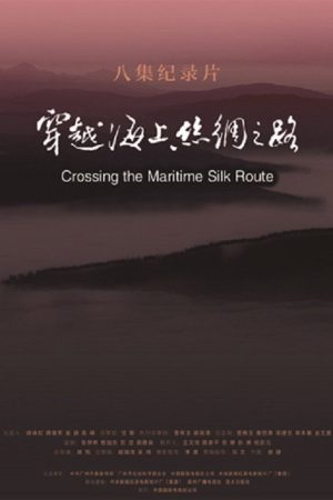 穿越海上丝绸之路 (2017) poster