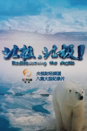 北极，北极! (2016) poster