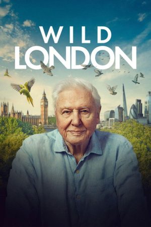 Wild London (2026) — Cast, Story & Where to Watch | MovieLinkBD poster