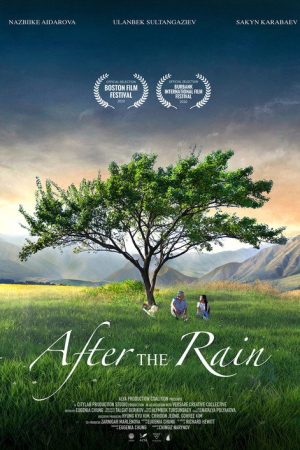 After the Rain (2019) poster