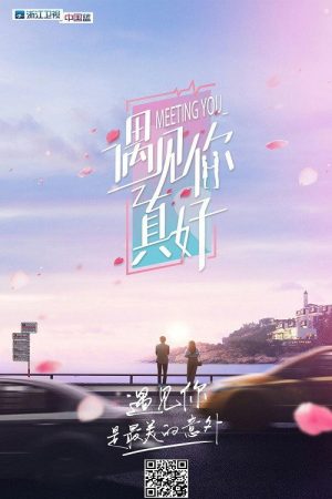 遇见你真好 (2019) poster