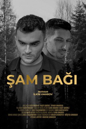 Şam Bağı (2024) poster