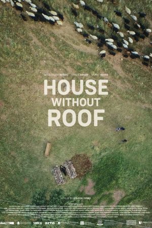 House Without Roof (2017) poster