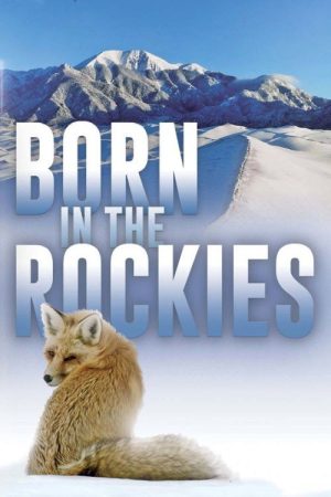 Born in the Rockies (2021) poster