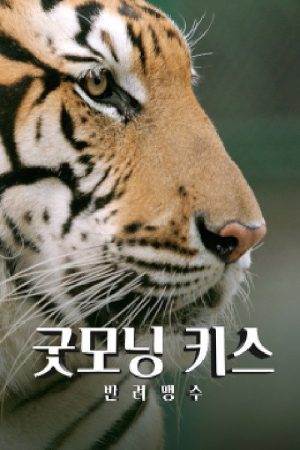 굿모닝 키스 (2021) poster