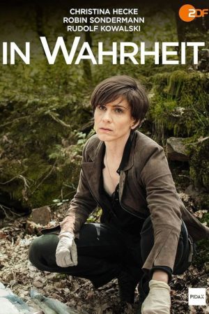 In Wahrheit (2017) poster