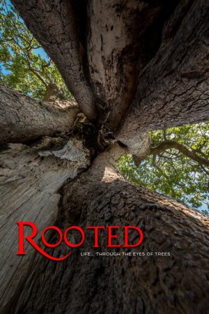 Rooted (2018) poster