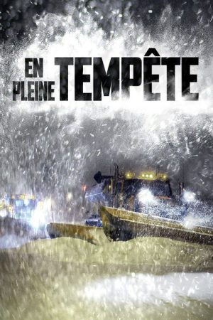 En pleine tempête (2016) poster
