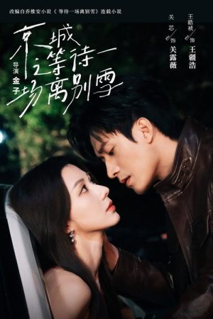 Waiting For A Farewell Snow (2025) poster